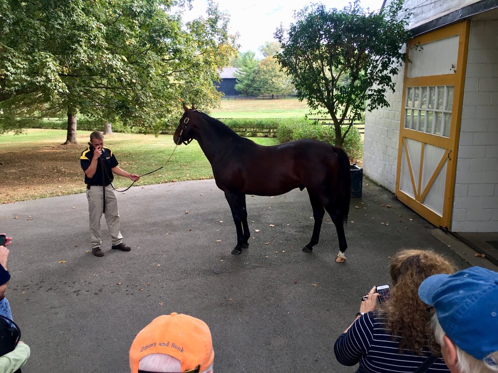 Claiborne Farm CLOSED 12 Photos Horse Racing 703 Winchester Rd