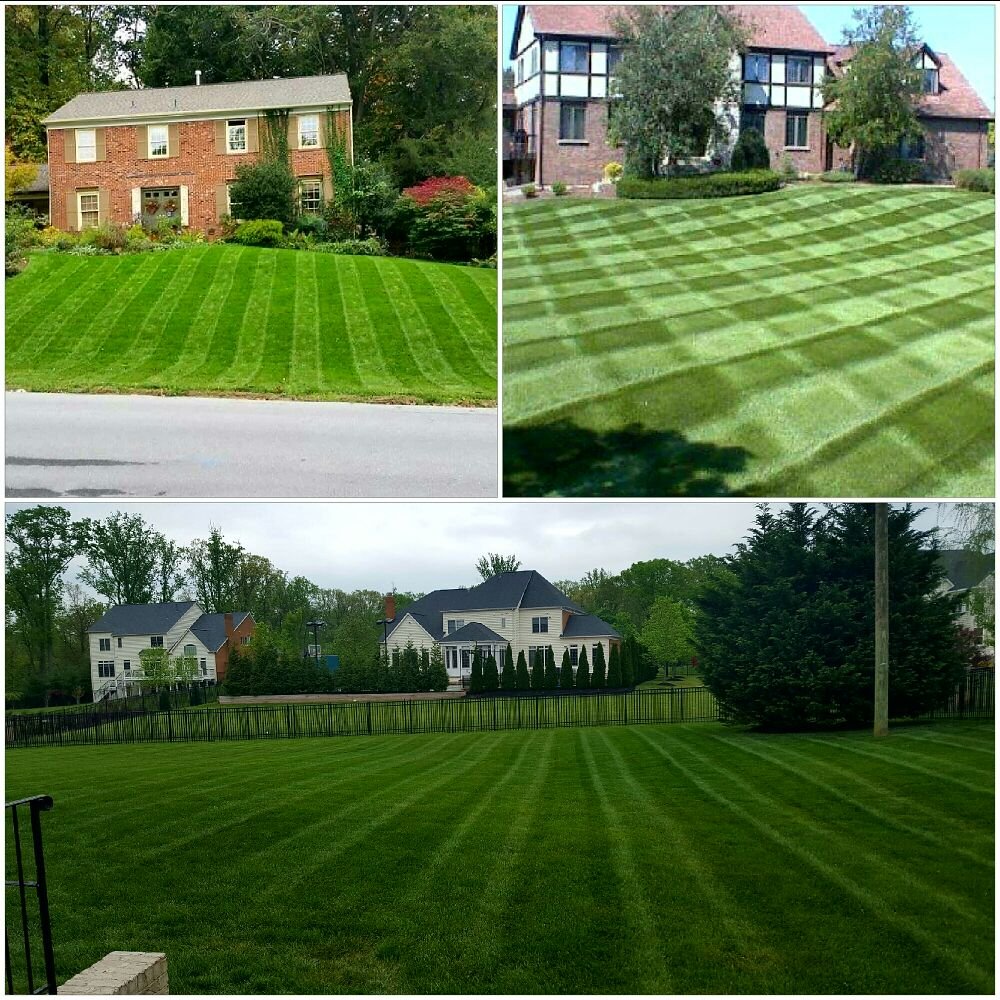 HG Grass Care