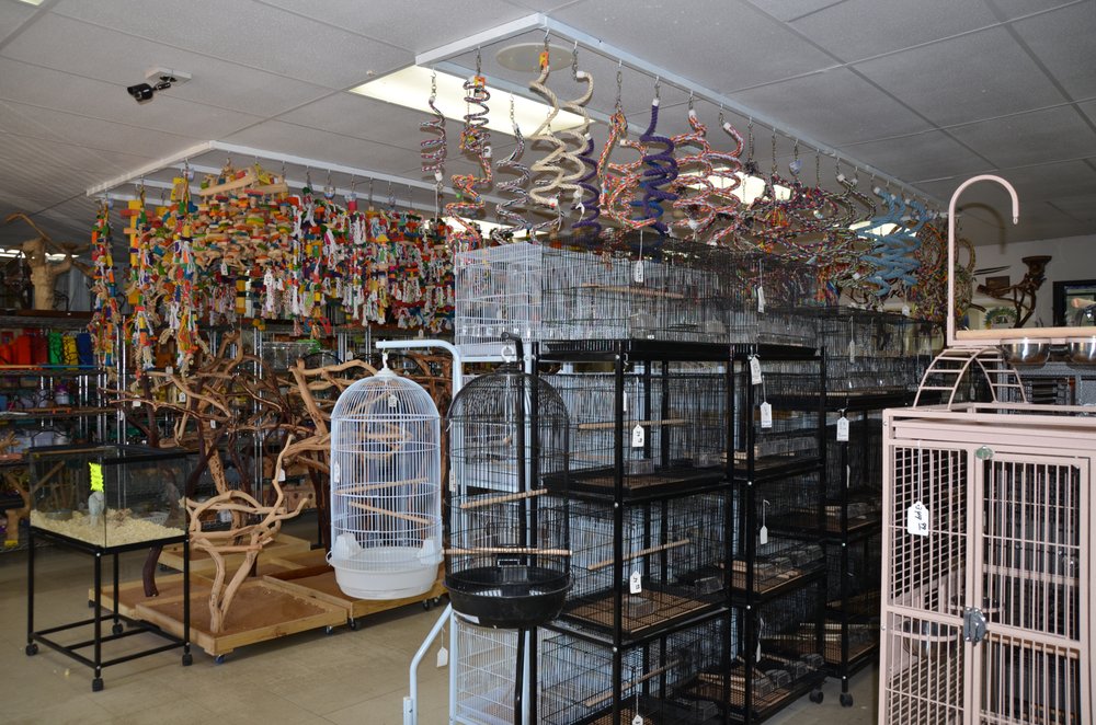 arizona bird store 29 fotos 13 beitr 228 ge vogelshop arizona bird store 29 fotos 13 beitr 228 ge vogelshop