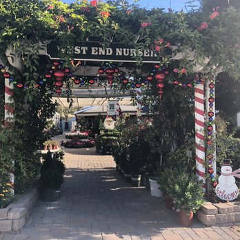 West End Nursery 71 Photos 46 Reviews Nurseries Gardening Photo Of West End Nursery San Rafael Ca United States