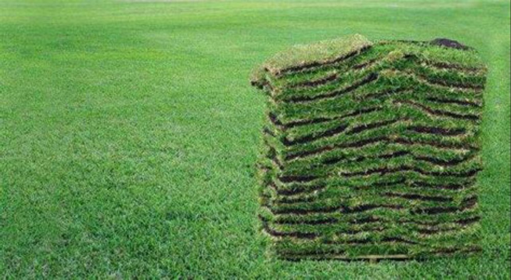 Turf Masters Sod Farms