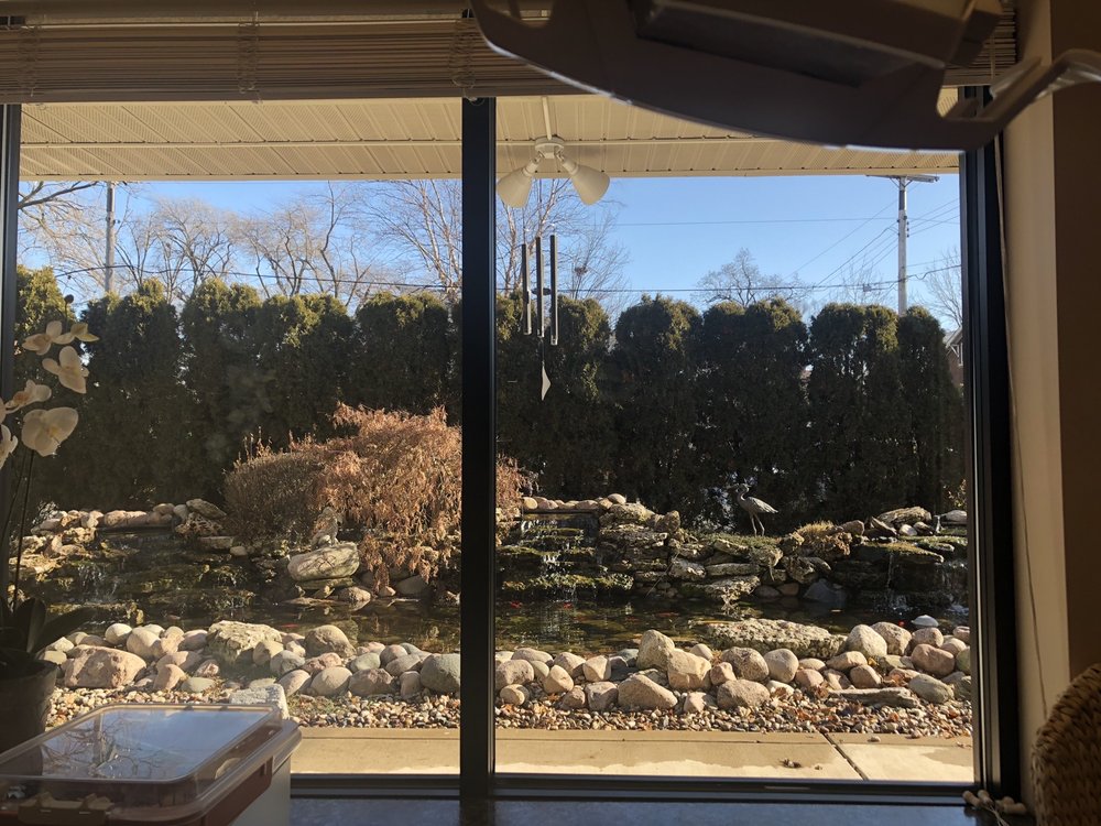 image of business White Orchid Dental