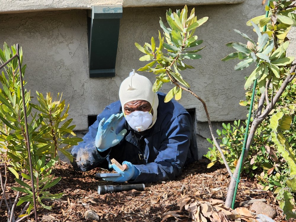 West Ivy Home Inspection