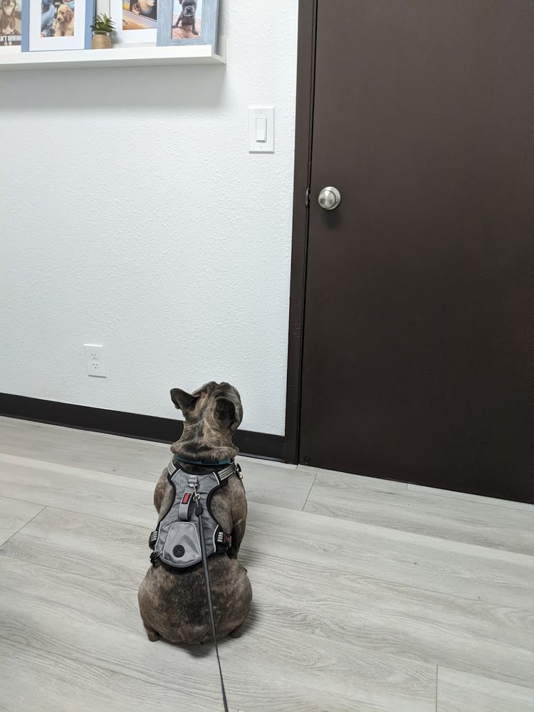 Tierramesa Veterinary Clinic