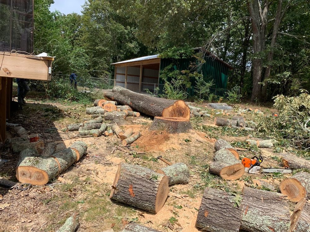 Elias Chavez Tree Service