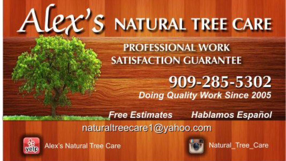 Alex's Natural Tree Care