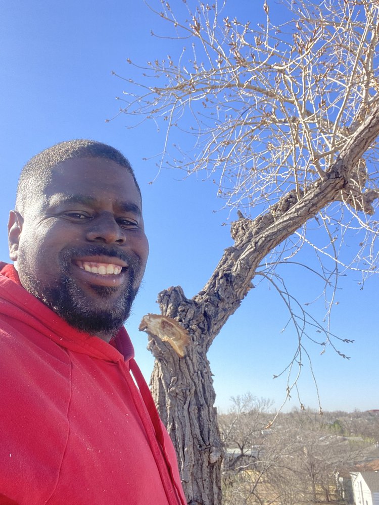Family Tree Services