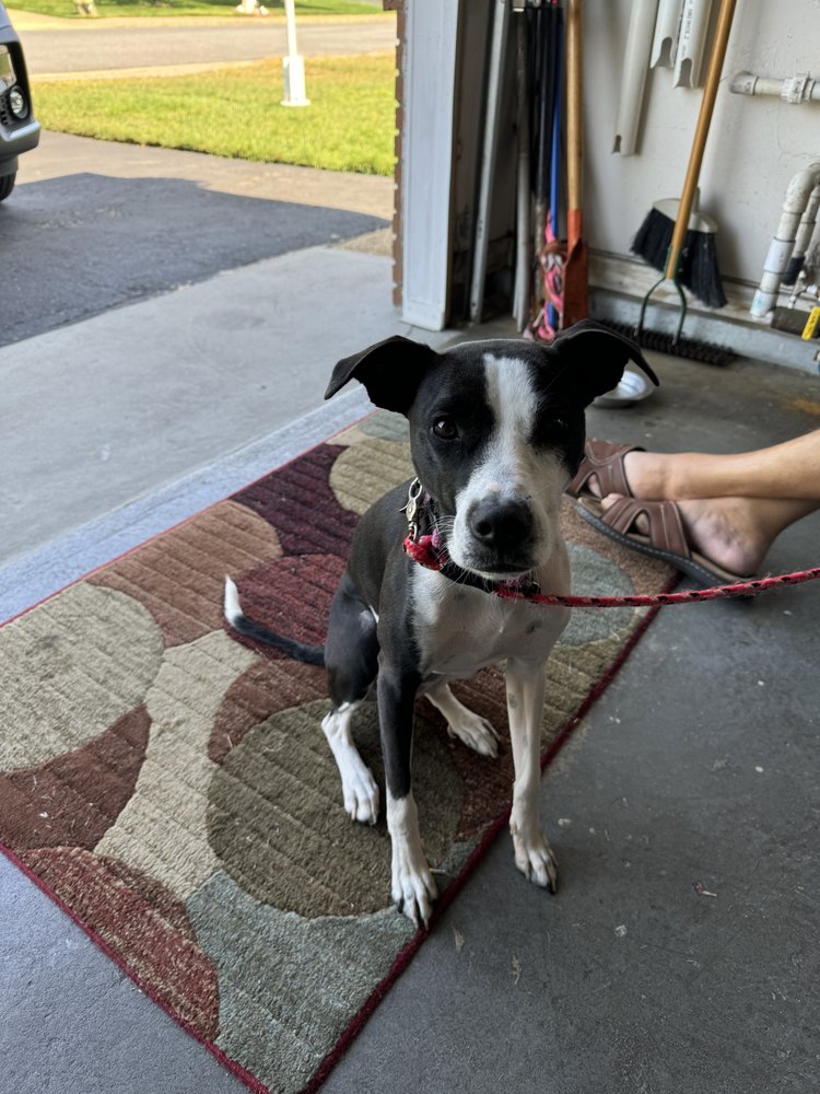 Bayville Veterinary Hospital Image