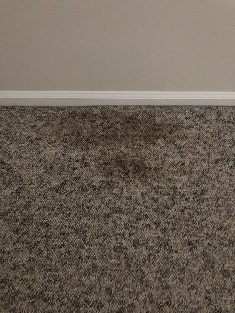 Steamy Stuart's Carpet Cleaning