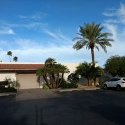 Treeland Nurseries 18 Photos 33 Reviews Gardening Photo Of Treeland Nurseries Mesa Az United States