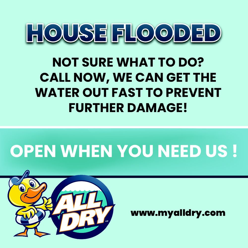 All Dry Services