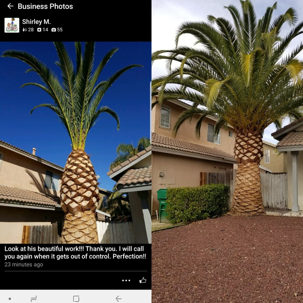 Valdez Landscaping 15 Reviews Landscaping Murrieta, CA Phone Number Yelp