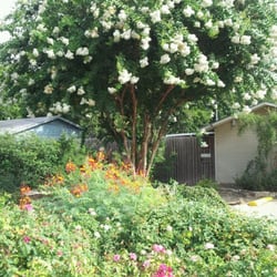 It S A Jungle Closed 13 Reviews Nurseries Gardening 907 Photo Of It S A Jungle Austin Tx United States