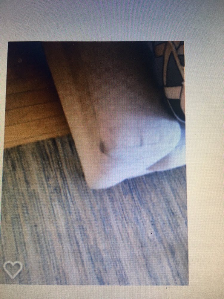 image of business Brooke Paper Scissors