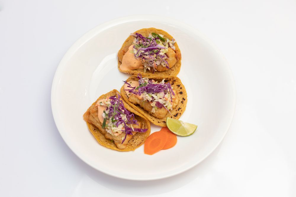Masa Taqueria
