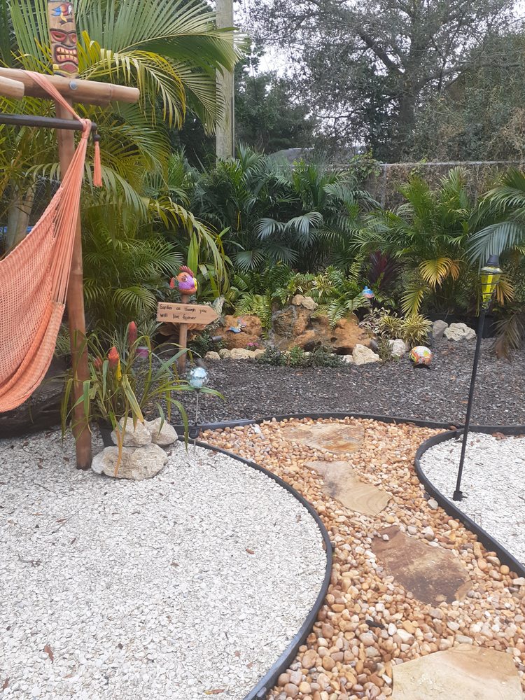 Discount Palms and Plants