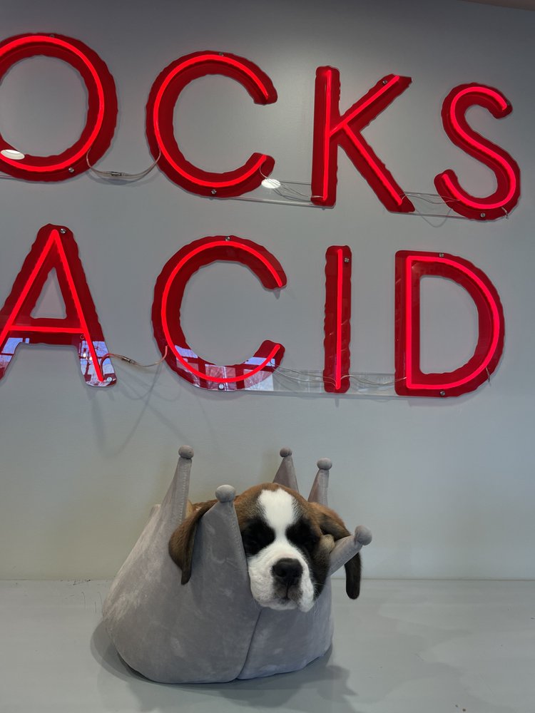 Rocks and Acid Wine Shop