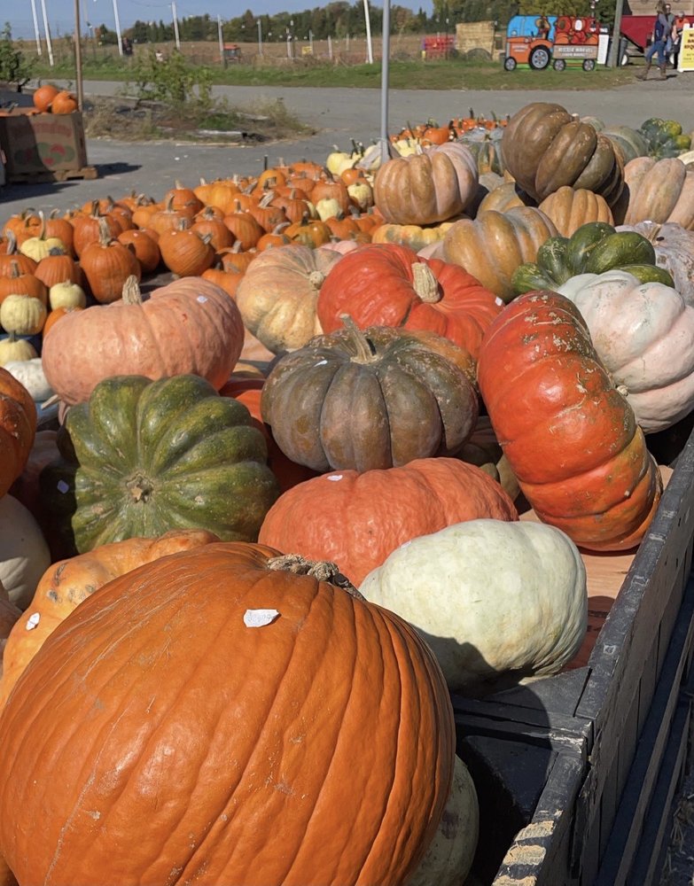 Risser Marvel Farm Market