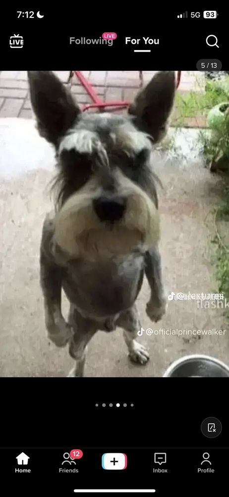 Dairy Queen Dairy Queen