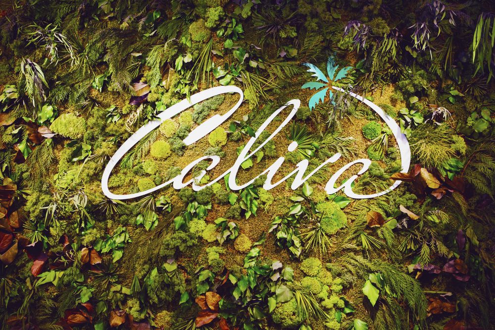 Caliva