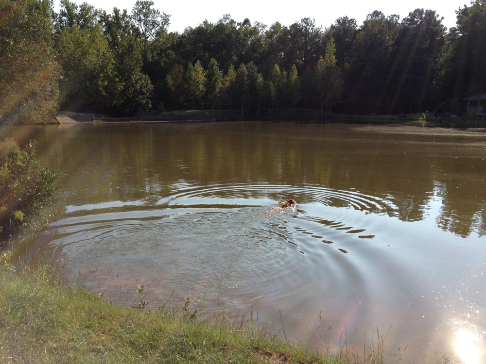 Billings Pond Lakes Billings Lake Dr, Columbus, GA Yelp
