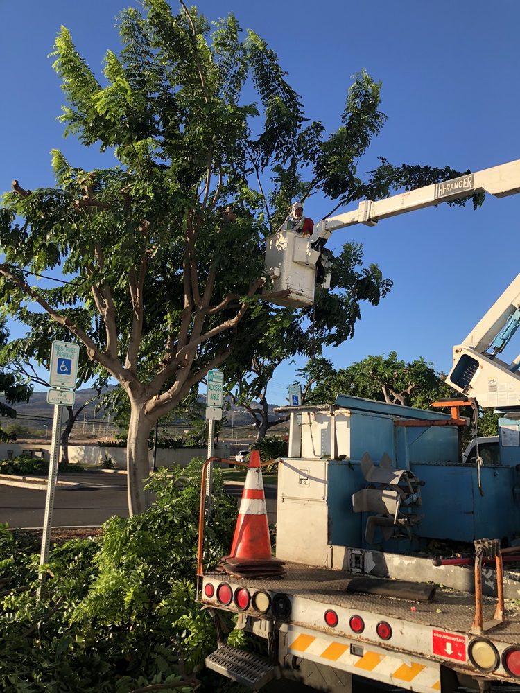 ホノルル ハワイ州 庭師ランキング 旅ゲート