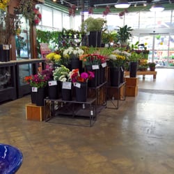 Johnson S Florist Garden Centers 17 Photos 11 Reviews Photo Of Johnson S Florist Garden Centers Kensington Md United States