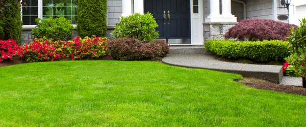 Best Landscaping 7800 Congress Ave Boca Raton Fl Photo Of Best Landscaping Boca Raton Fl United States