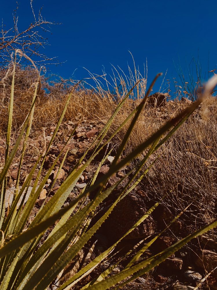 RV Rentals in El Paso, TX Franklin Mountains State Park