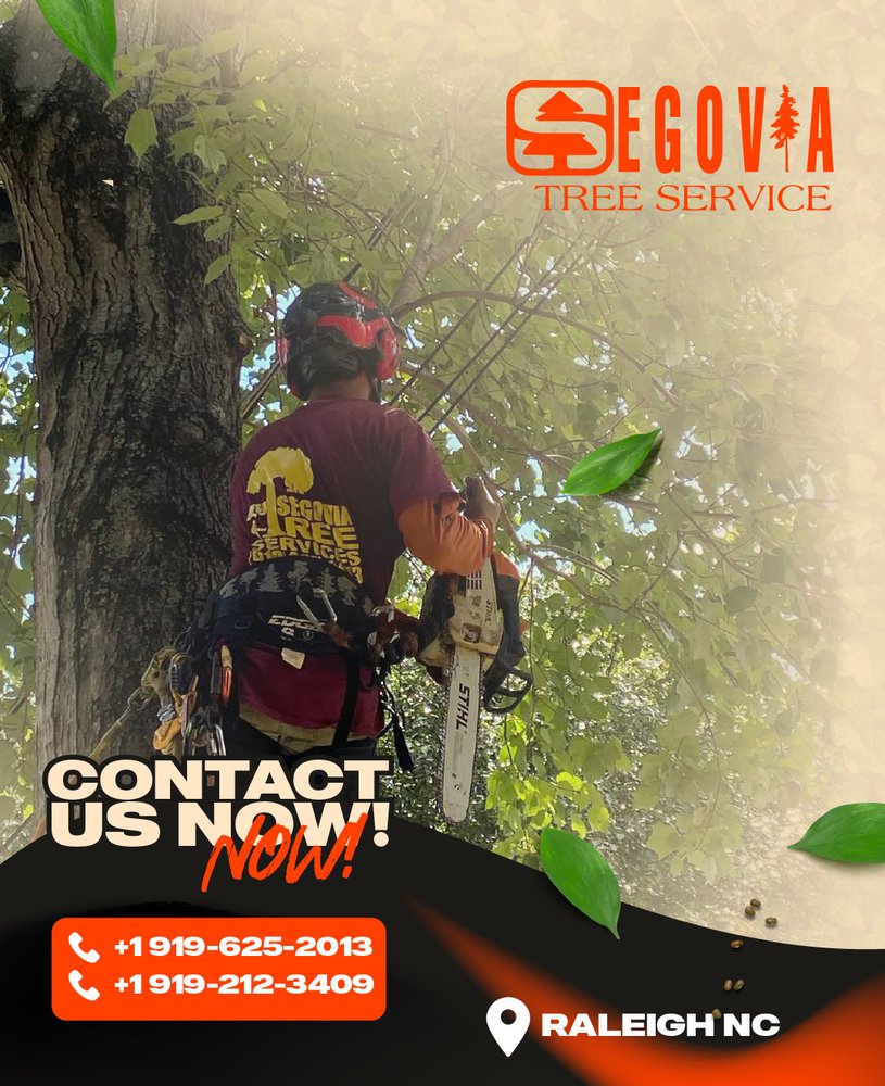 Segovia Tree Service LLC