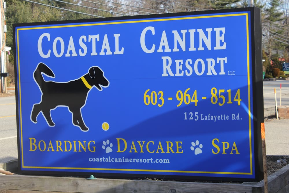 Coastal Canine Resort 11 Reviews Pet Sitting 125 Lafayette Rd