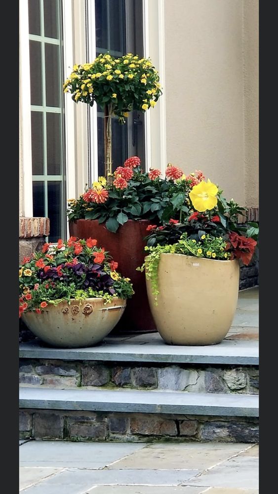 Seasons Garden Center