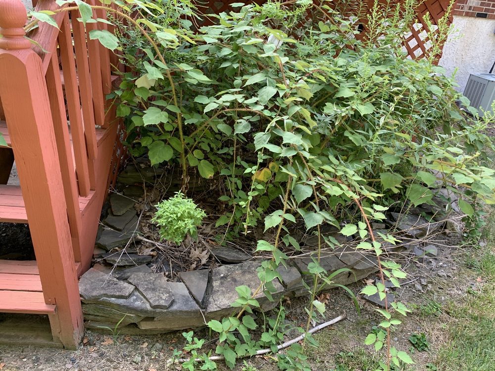 Riverside Lawn & Landscaping