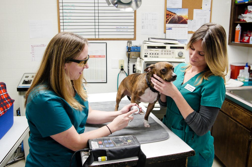 Colfax Veterinary Hospital 10 Photos & 13 Reviews Veterinarians 1333 State Hwy 174, Colfax