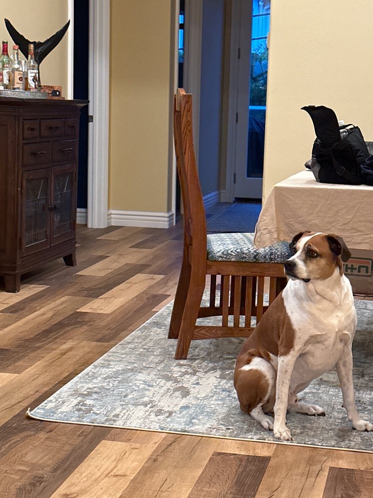 image of business Geneva Flooring