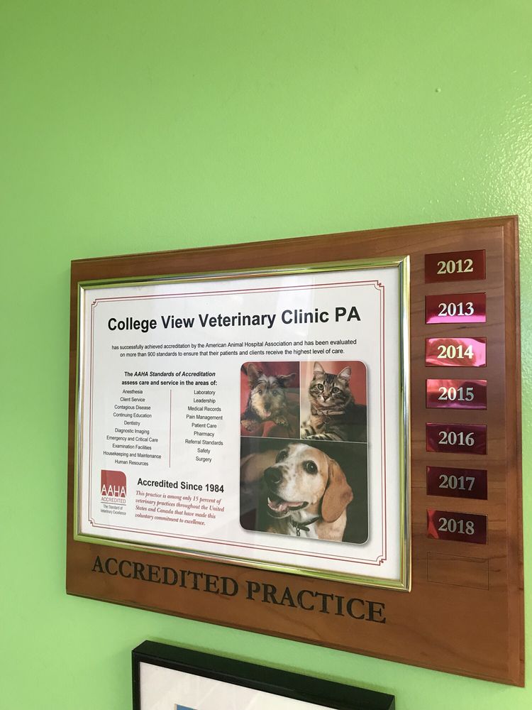College View Veterinary Clinic 10 Reviews Veterinarians 2430
