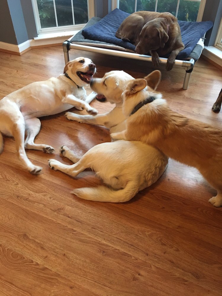 Mommy and Me Pet Care