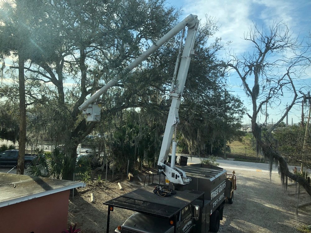 Tree Guys of St. Augustine