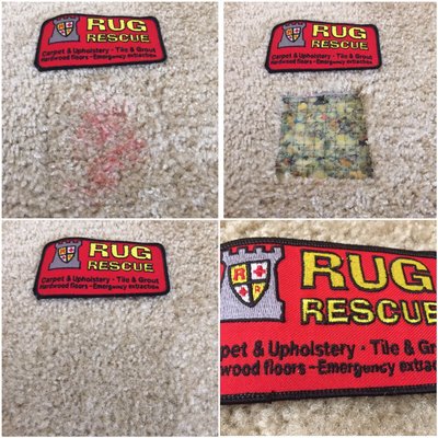 Rug Rescue Carpet Upholstery Cleaning 12617 164th St E Puyallup