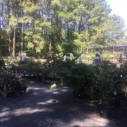 King S Greenhouse 109 Photos Nurseries Gardening 524 Office And Photo Of King S Greenhouse Stallings Nc United States A Little Bit