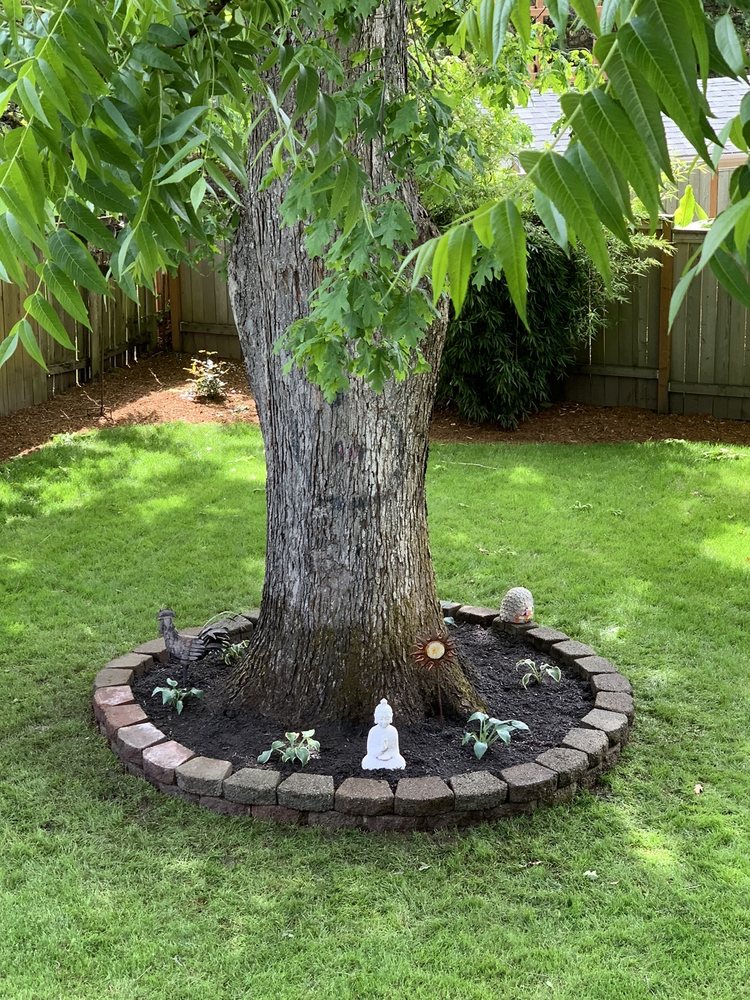 NW Evergreen Landscape