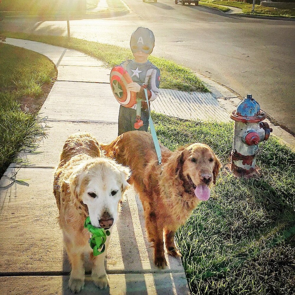 county line animal hospital hours