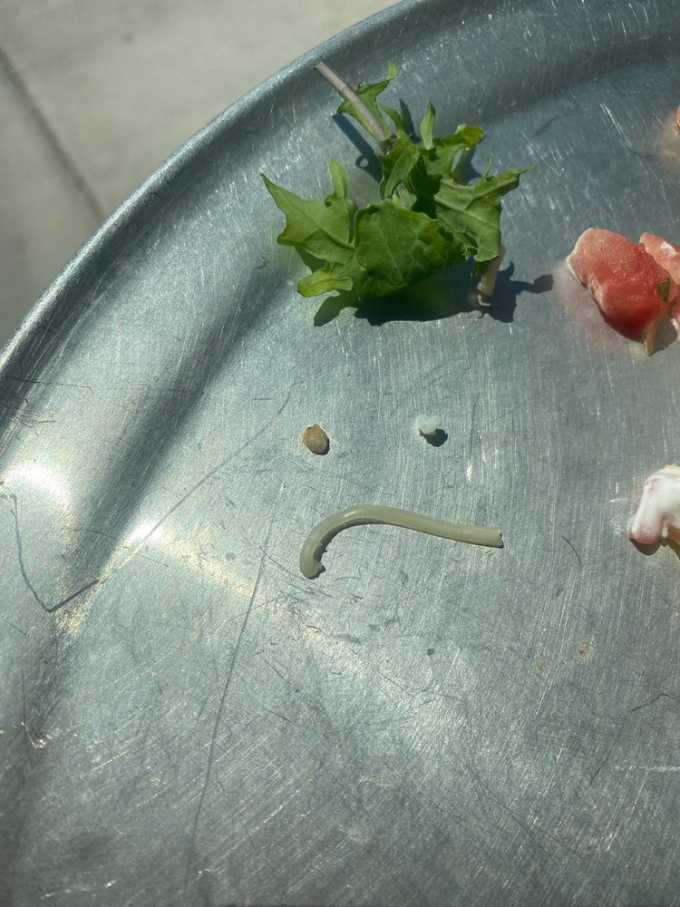 Chipotle Mexican Grill Opening Soon, Moses Lake Roadtrippers