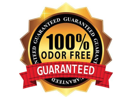 Go Dry Carpet & Upholstery Cleaning