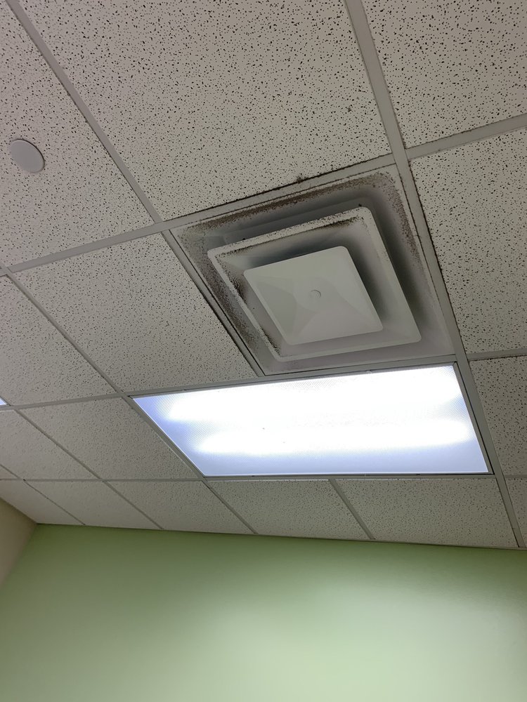 image of business Pecan Tree Pediatrics