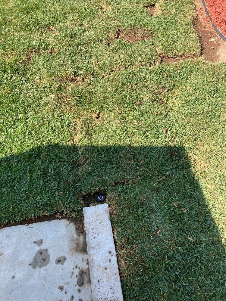 RotoTillerGuy