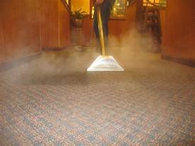 Steam King Carpet Care