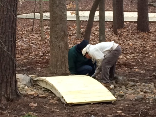 New Garden Landscaping & Nursery