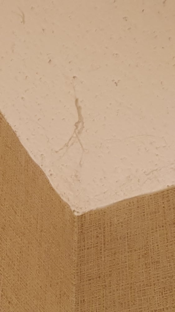 Dust Bunny Hanging From The Ceiling Yelp