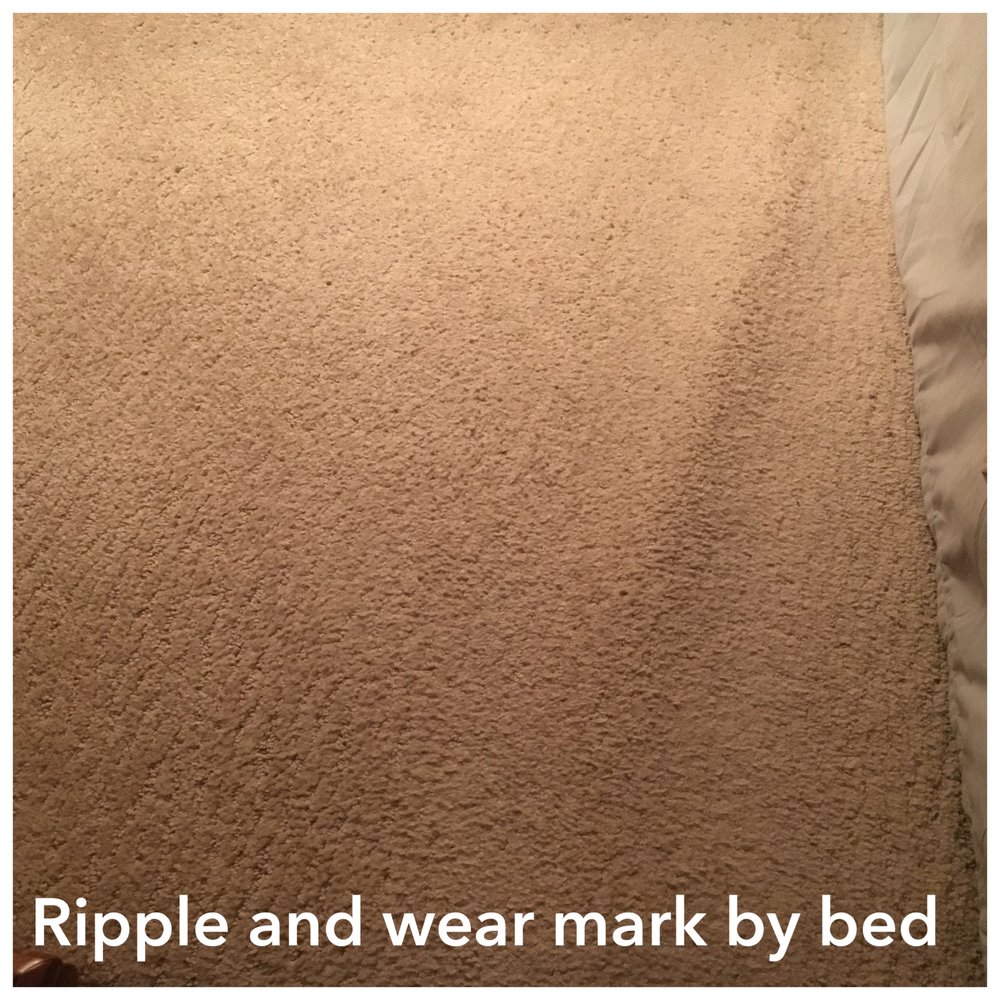 image of business Carpetime